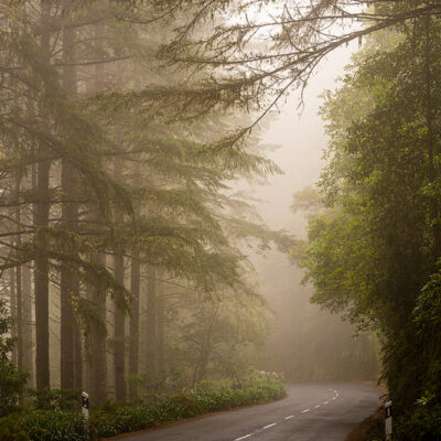 Madeira landscape photography tour and photo workshop Madeira landscape photography tour and photo workshop