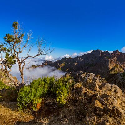 Madeira landscape photography tour and photo workshop Madeira landscape photography tour and photo workshop