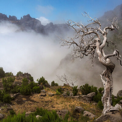 Madeira landscape photography tour and photo workshop Madeira landscape photography tour and photo workshop