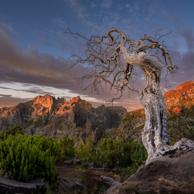 Madeira landscape photography tour and photo workshop Madeira landscape photography tour and photo workshop