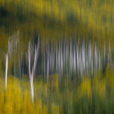 Madeira landscape photography tour and photo workshop Madeira landscape photography tour and photo workshop