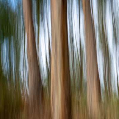 Madeira landscape photography tour and photo workshop Madeira landscape photography tour and photo workshop