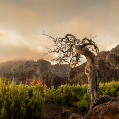 Madeira landscape photography tour and photo workshop Madeira landscape photography tour and photo workshop