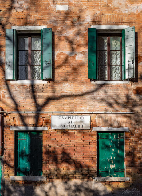 Ballet & Ball Gowns Photography Workshop at the Venice Carnival 66