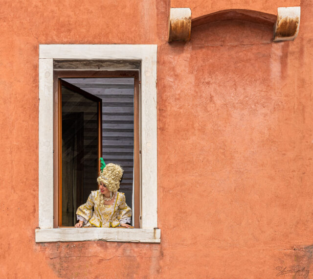 Venice Carnival Photography Workshop &amp; Tour