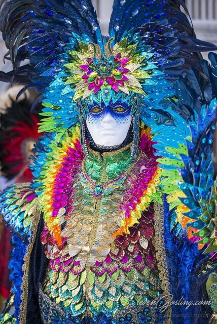 Venice Carnival Photography Workshop &amp; Tour