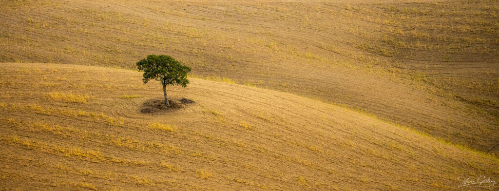 Tuscany Landscape Photography Workshop and Holiday