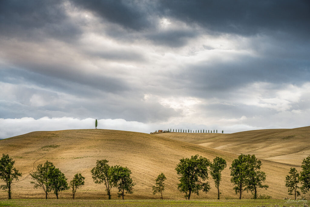 Tuscany Landscape Photography Workshop and Holiday