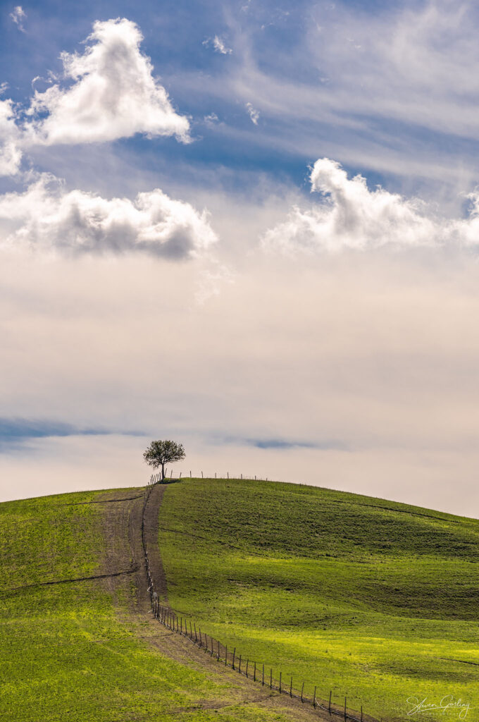 Tuscany Landscape Photography Workshop and Holiday