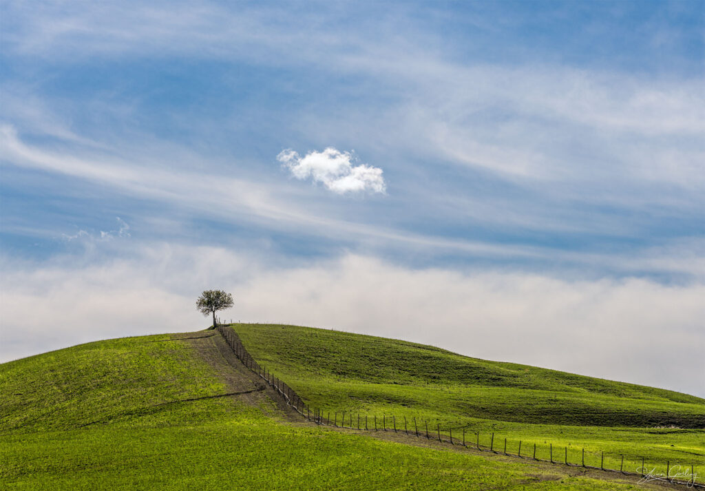 Tuscany Landscape Photography Workshop and Holiday