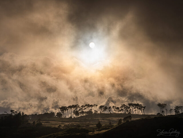 Madeira Landscape Photography Workshop & Holiday: Autumn 2024 20