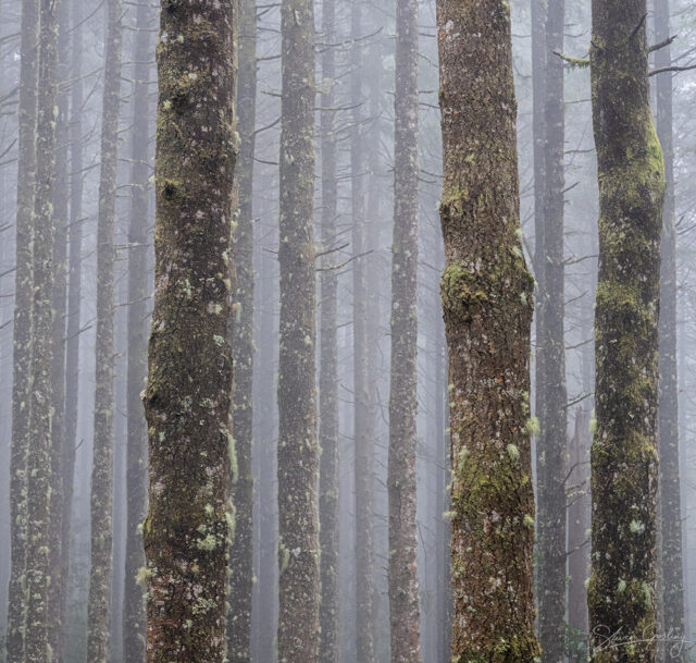 Madeira Landscape Photography Workshop & Holiday: Autumn 2024 24