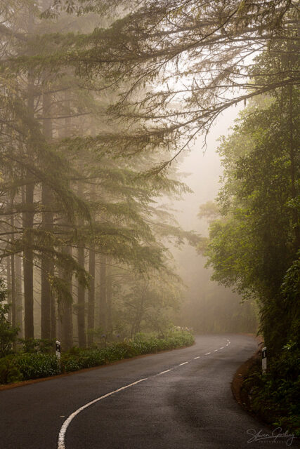 Madeira Landscape Photography Workshop & Holiday: Autumn 2024 25