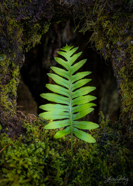 Madeira Landscape Photography Workshop & Holiday: Autumn 2024 56