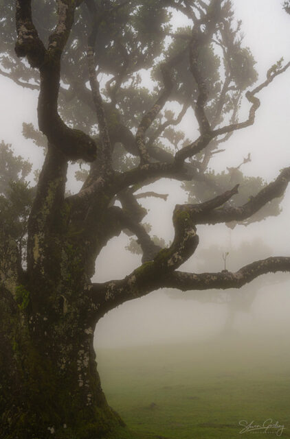 Madeira Landscape Photography Workshop & Holiday: Autumn 2024 57