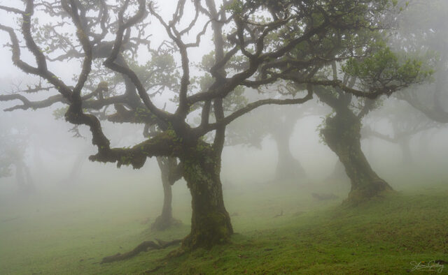 Madeira Landscape Photography Workshop & Holiday: Autumn 2024 58