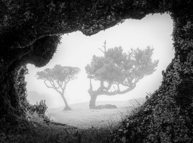 Madeira Landscape Photography Workshop & Holiday: Autumn 2024 54