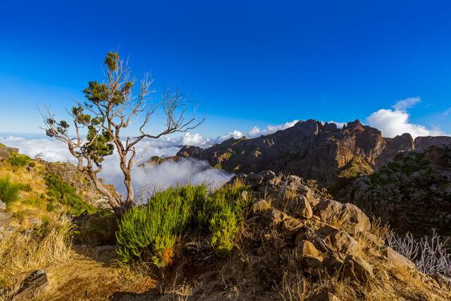 Madeira Landscape Photography Holiday & Workshop