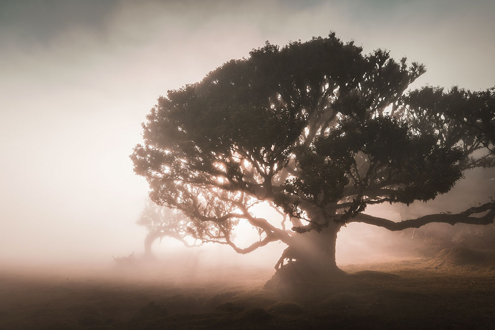 Madeira Landscape Photography Holiday