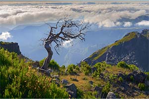 Madeira Landscape Photography Holiday & Workshop