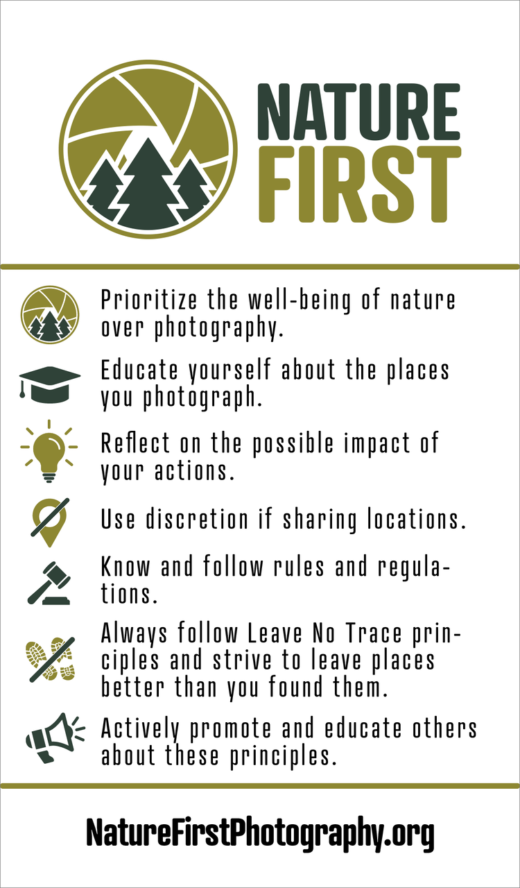 Environmental Policy Environmental Policy