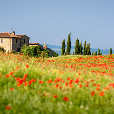 Tuscany landscape photography workshop, tour and holiday in Spring Tuscany landscape photography workshop and holiday in Spring