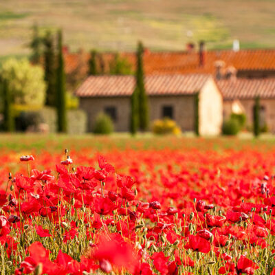 Tuscany landscape photography workshop, tour and holiday in Spring Tuscany landscape photography workshop and holiday in Spring
