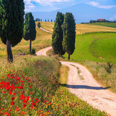 Tuscany landscape photography workshop, tour and holiday in Spring Tuscany landscape photography workshop and holiday in Spring
