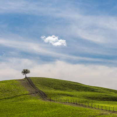 Tuscany landscape photography workshop, tour and holiday in Spring Tuscany landscape photography workshop and holiday in Spring