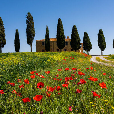 Tuscany landscape photography workshop, tour and holiday in Spring Tuscany landscape photography workshop and holiday in Spring