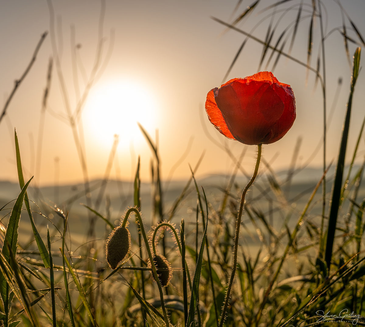 Tuscany landscape photography workshop and holiday in Spring