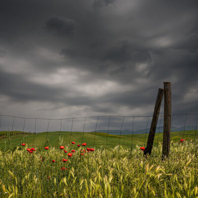 Tuscany landscape photography workshop, tour and holiday in Spring Tuscany landscape photography workshop and holiday in Spring
