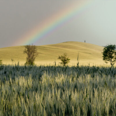 Tuscany landscape photography workshop, tour and holiday in Spring Tuscany landscape photography workshop and holiday in Spring
