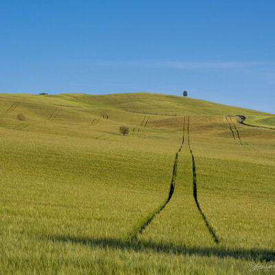 Tuscany landscape photography workshop, tour and holiday in Spring Tuscany landscape photography workshop and holiday in Spring