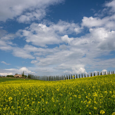Tuscany landscape photography workshop, tour and holiday in Spring Tuscany landscape photography workshop and holiday in Spring