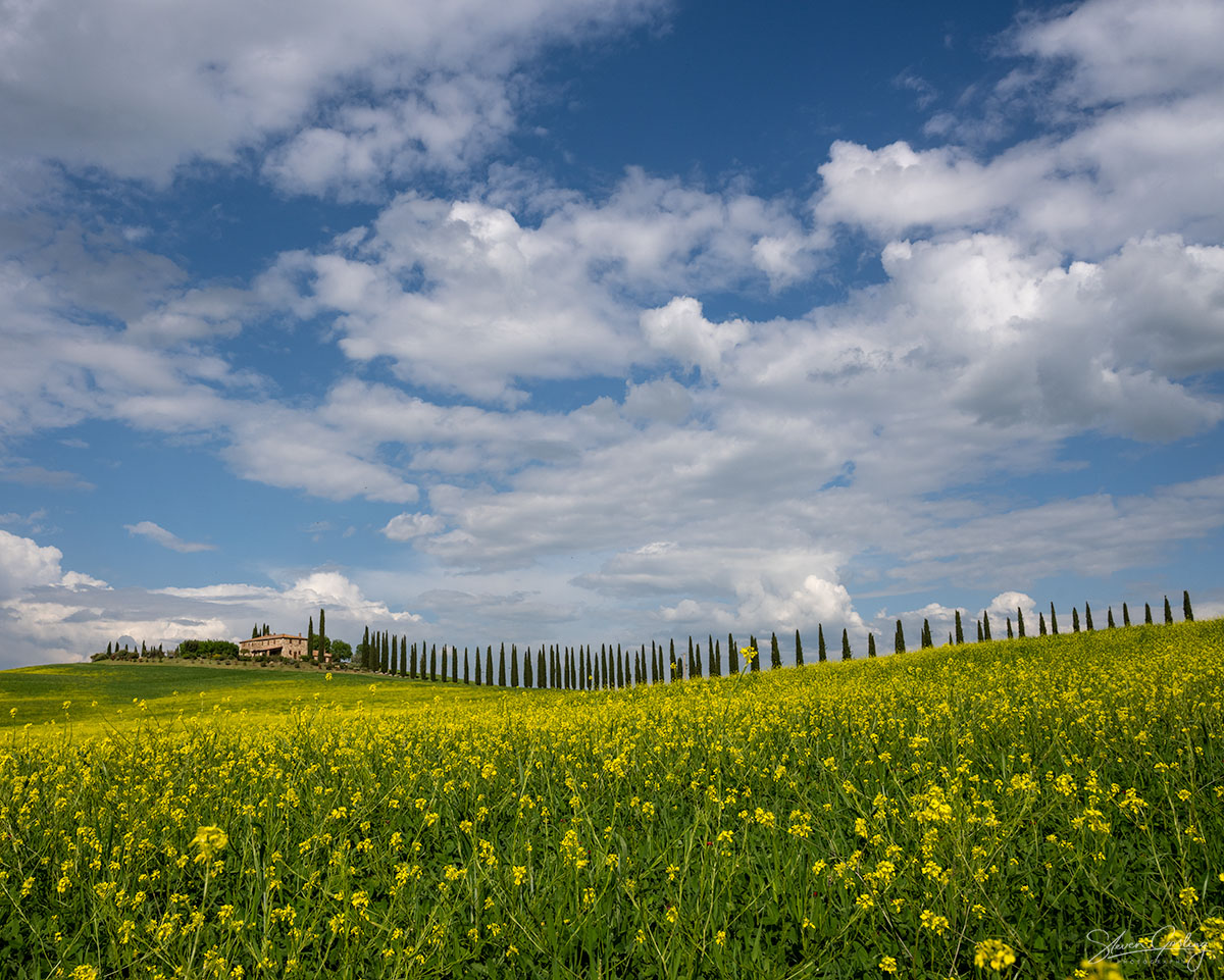 Tuscany landscape photography workshop and holiday in Spring