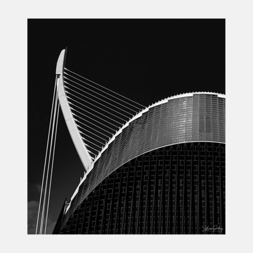 Valencia Architecture of the Ciudad de las Artes y las Ciencias (City of Arts and Sciences)