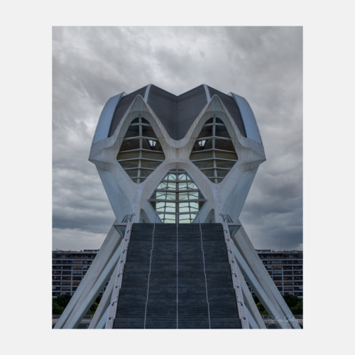 Valencia Architecture of the Ciudad de las Artes y las Ciencias (City of Arts and Sciences)