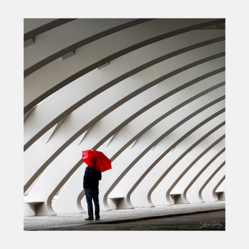 Valencia Architecture of the Ciudad de las Artes y las Ciencias (City of Arts and Sciences)