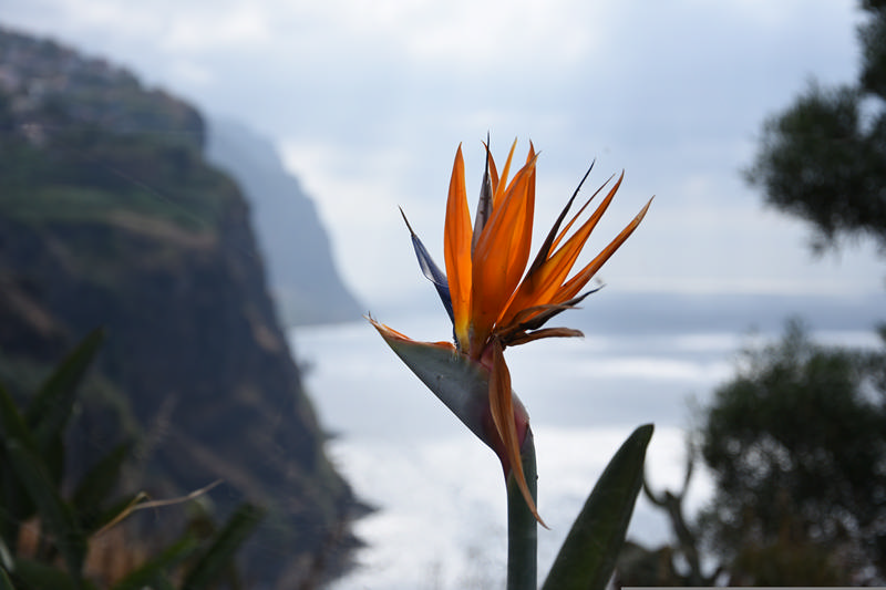 Madeira Landscape Photography Holiday and Workshop: Spring 2023 109
