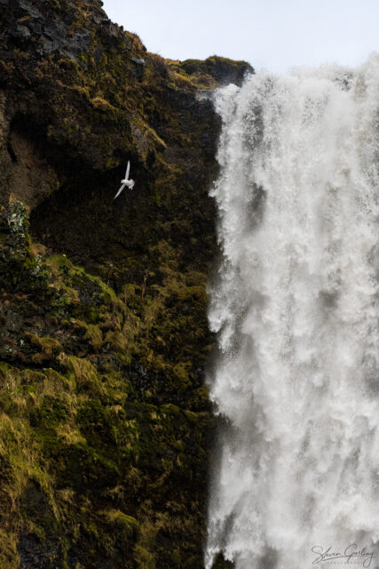 Iceland photography tour and workshop