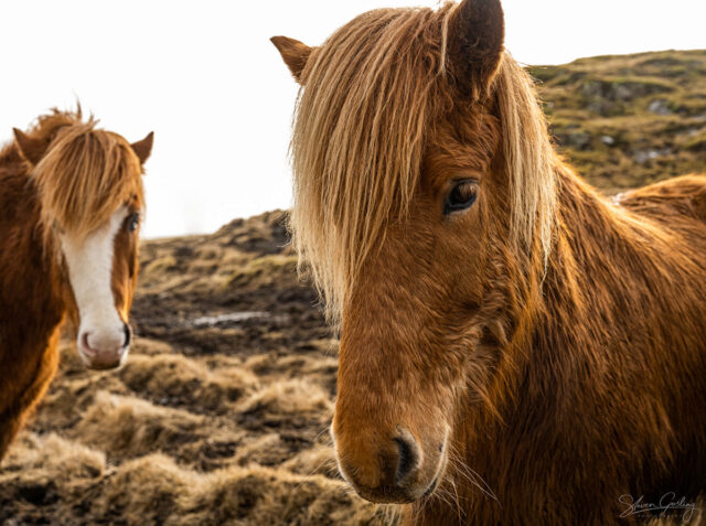 Iceland photography tour and workshop