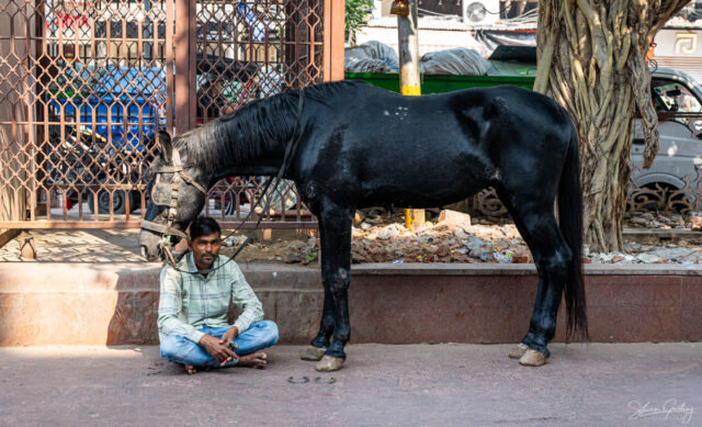 India, Rajasthan Photography Tour - Delhi