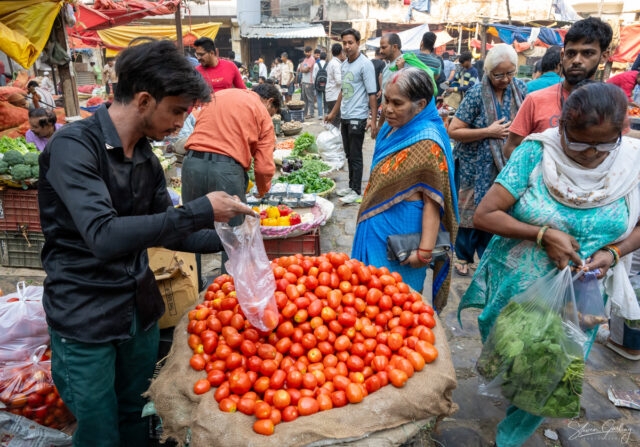 India, Rajasthan Photography Tour - Delhi