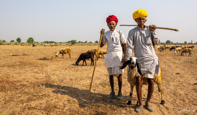 Portrait of India: Rajasthan Photography Tour 13
