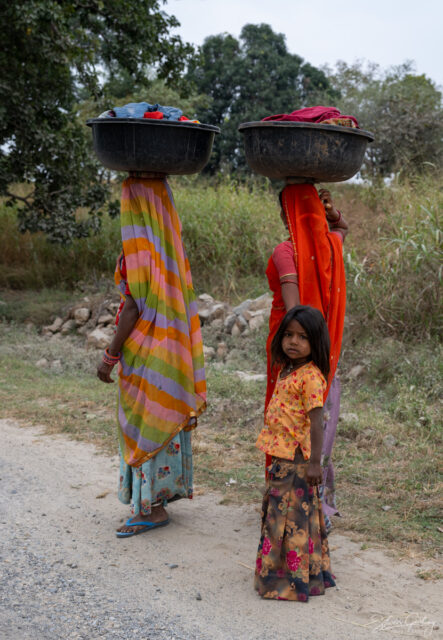 Portrait of India: Rajasthan Photography Tour 11