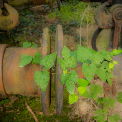 Slovenia Photography Tour and Workshop - Derelict railway fiddle yard