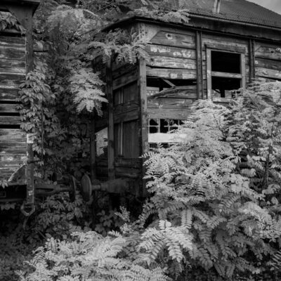 Slovenia Photography Tour and Workshop - Derelict railway fiddle yard