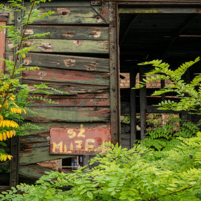 Slovenia Photography Tour and Workshop - Derelict railway fiddle yard
