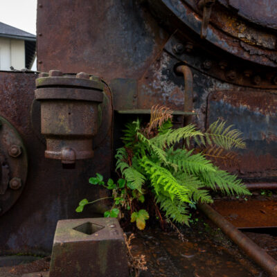 Slovenia Photography Tour and Workshop - Derelict railway fiddle yard